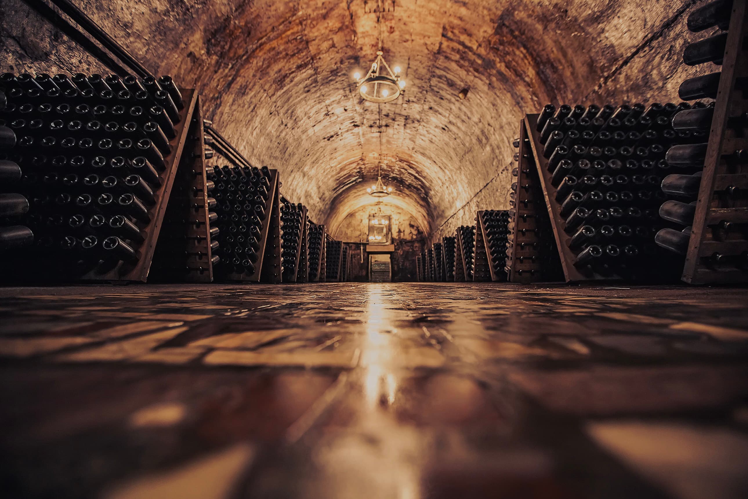 Champagne cellar