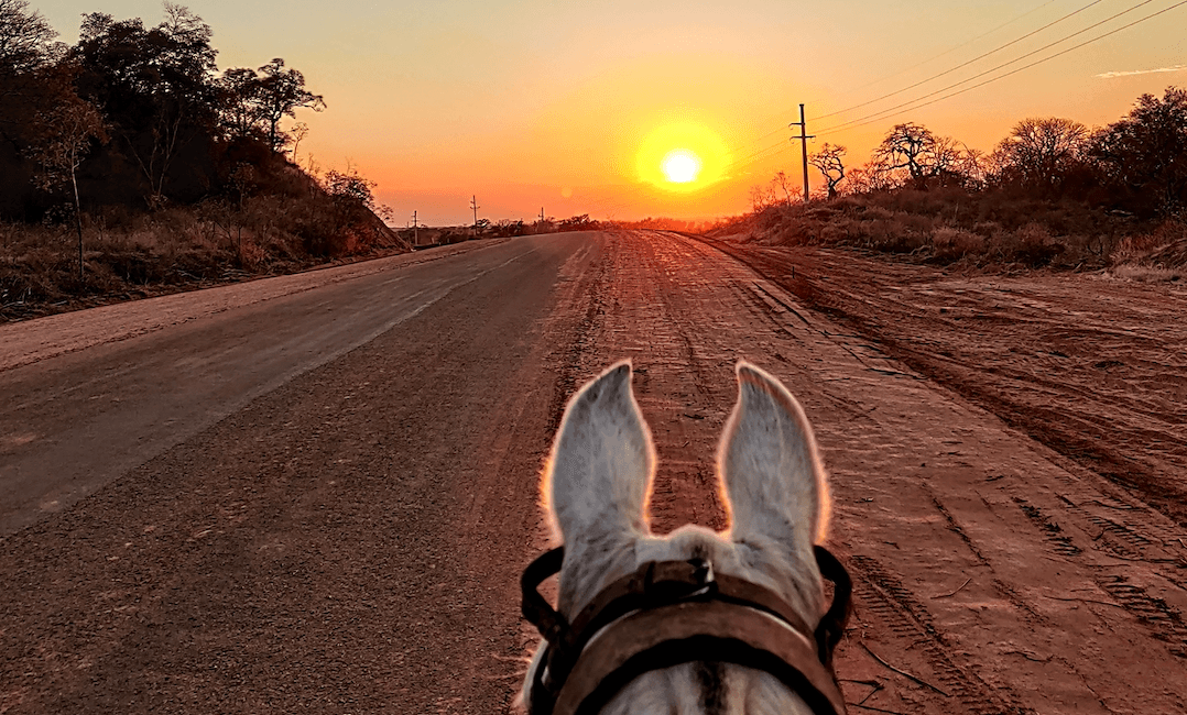 Argentina Horseback