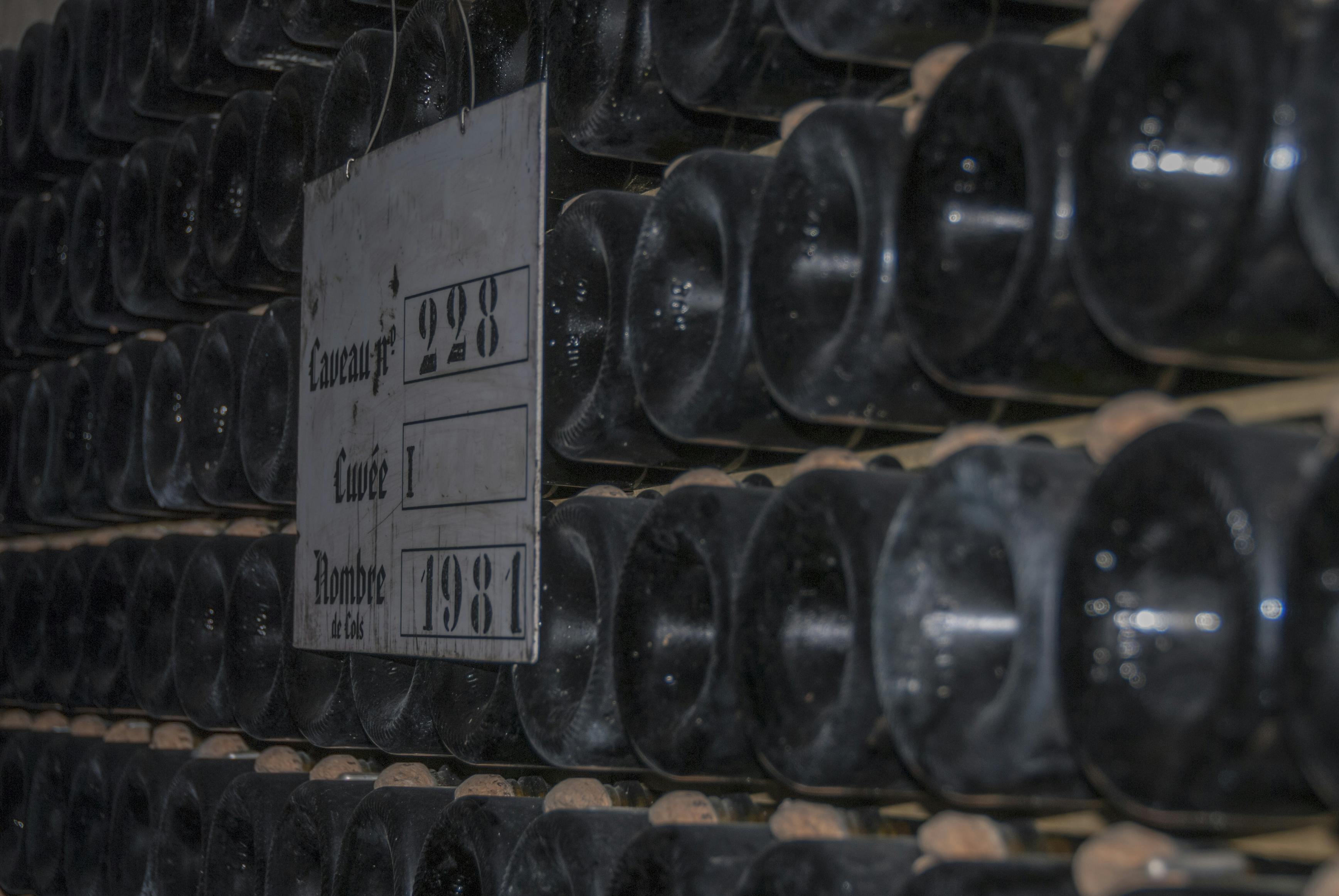 Champagne cellar