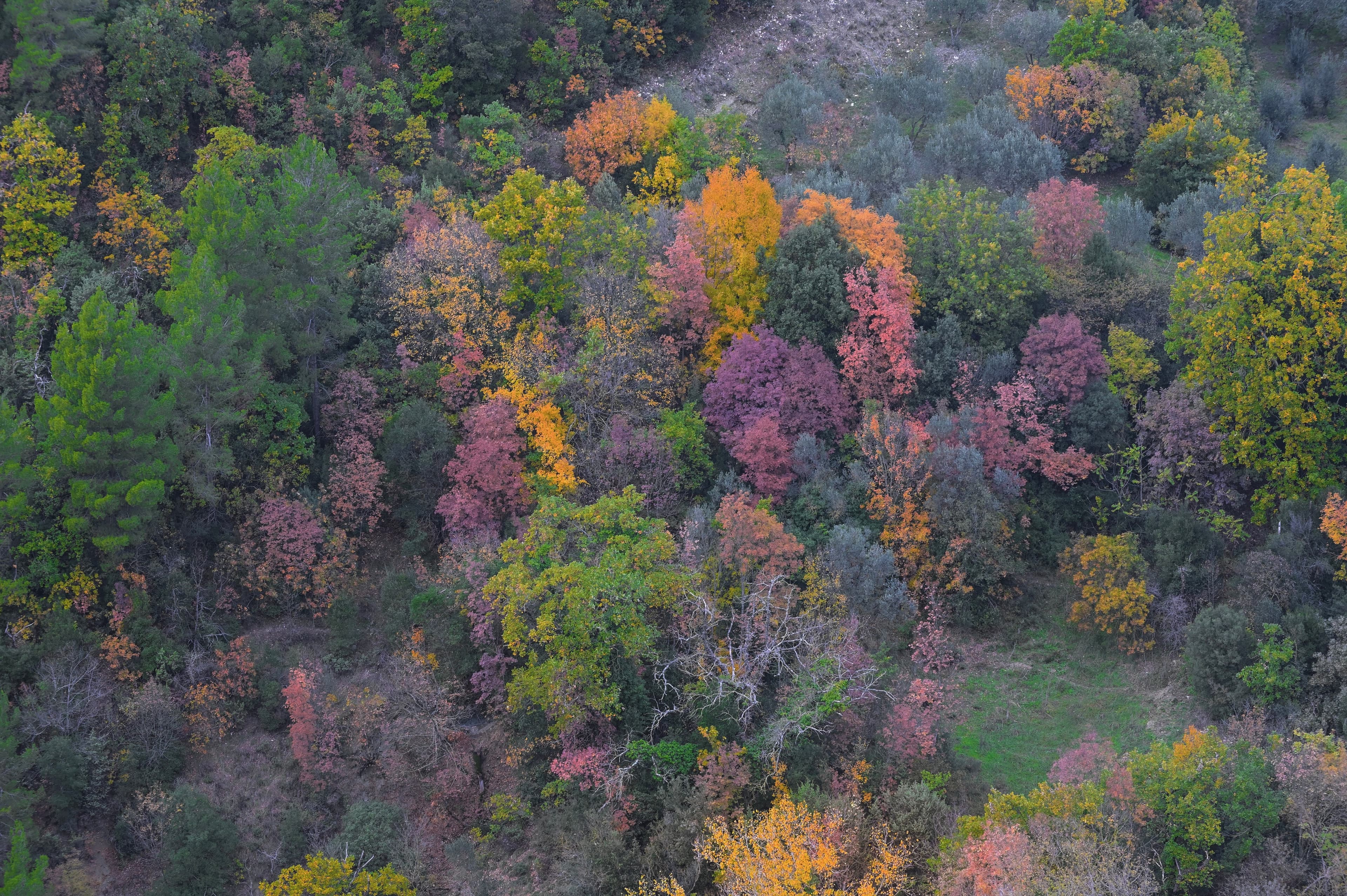 Umbria