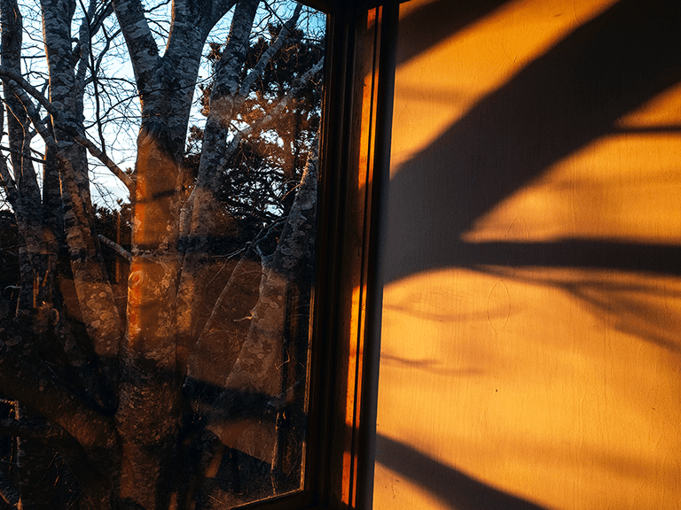 Golden hour window reflection by Rebecca Norris Webb 