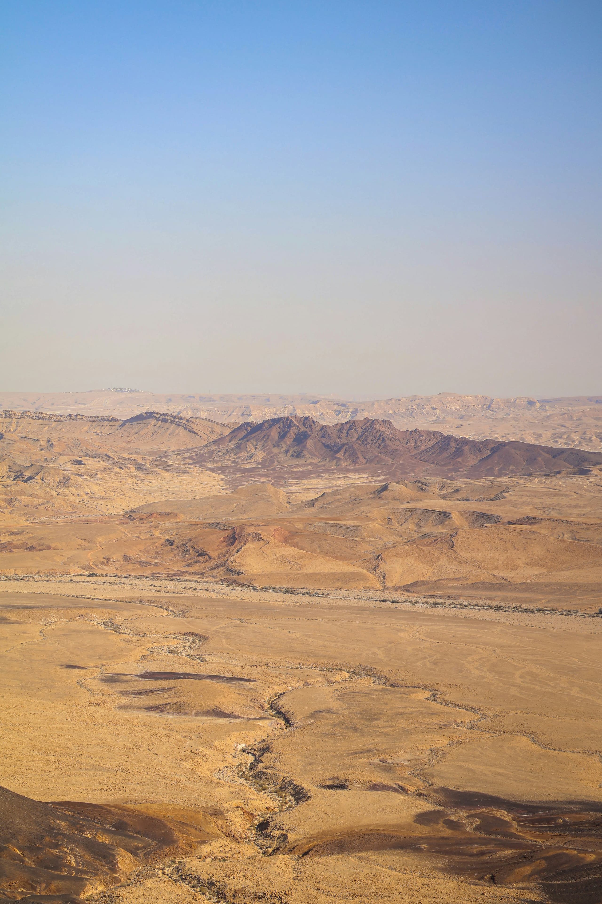 Valley of the Whales