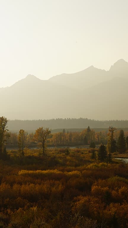 Wyoming
