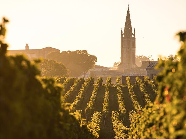 Bordeaux Winemaking