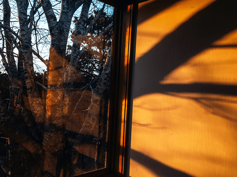 Cape Cod Journey Image