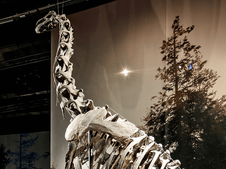 Naturalis Museum