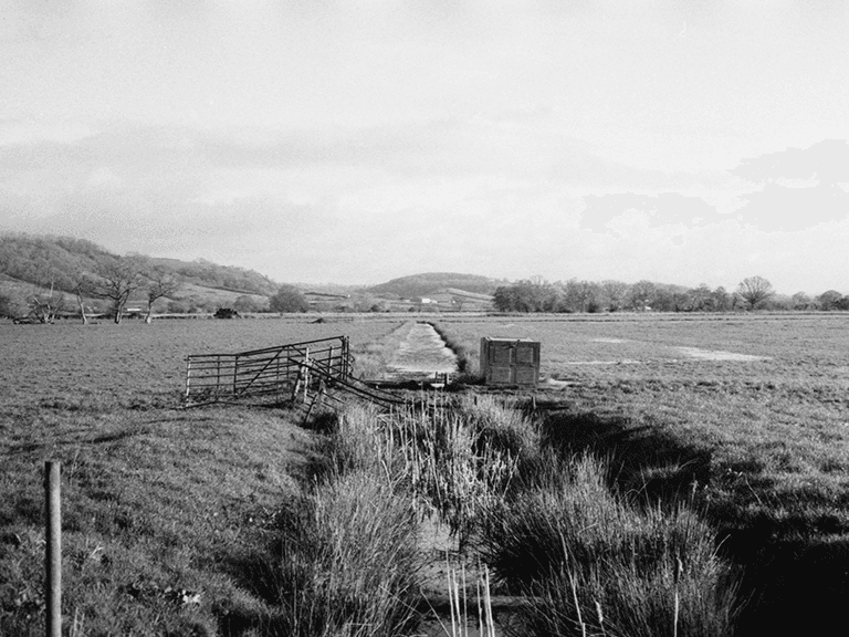 Somerset Levels landscape