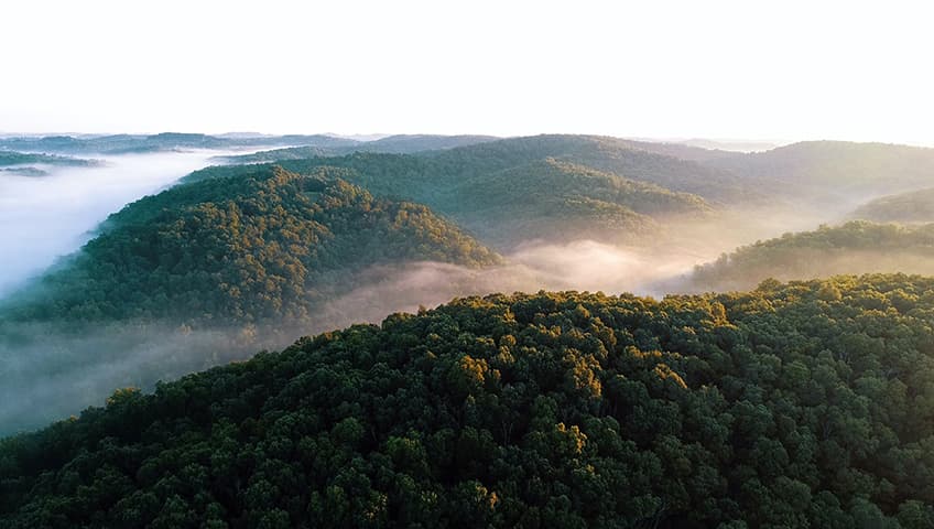 St Peter's Basilica hero