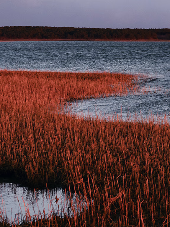 Cape Cod Cape Cod